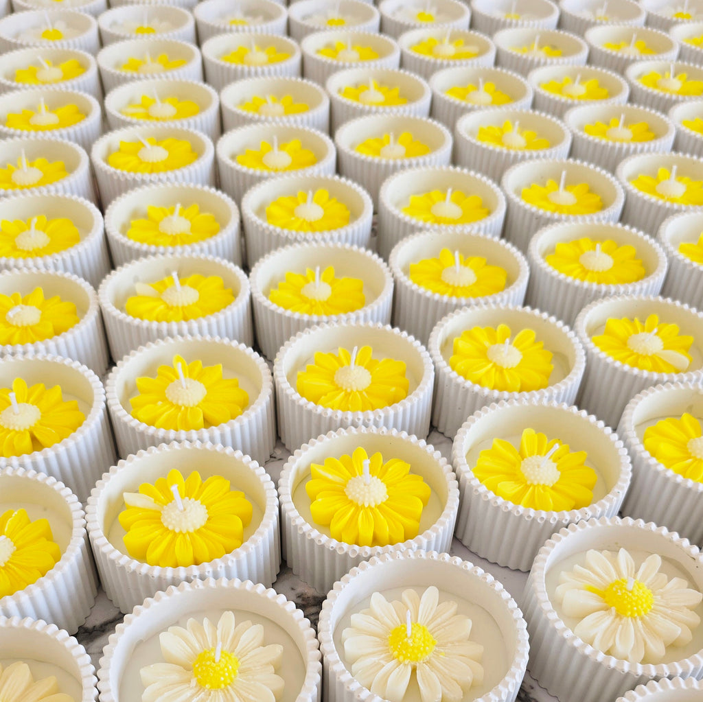 Μπομπονιέρα μαργαρίτα σε δοχείο