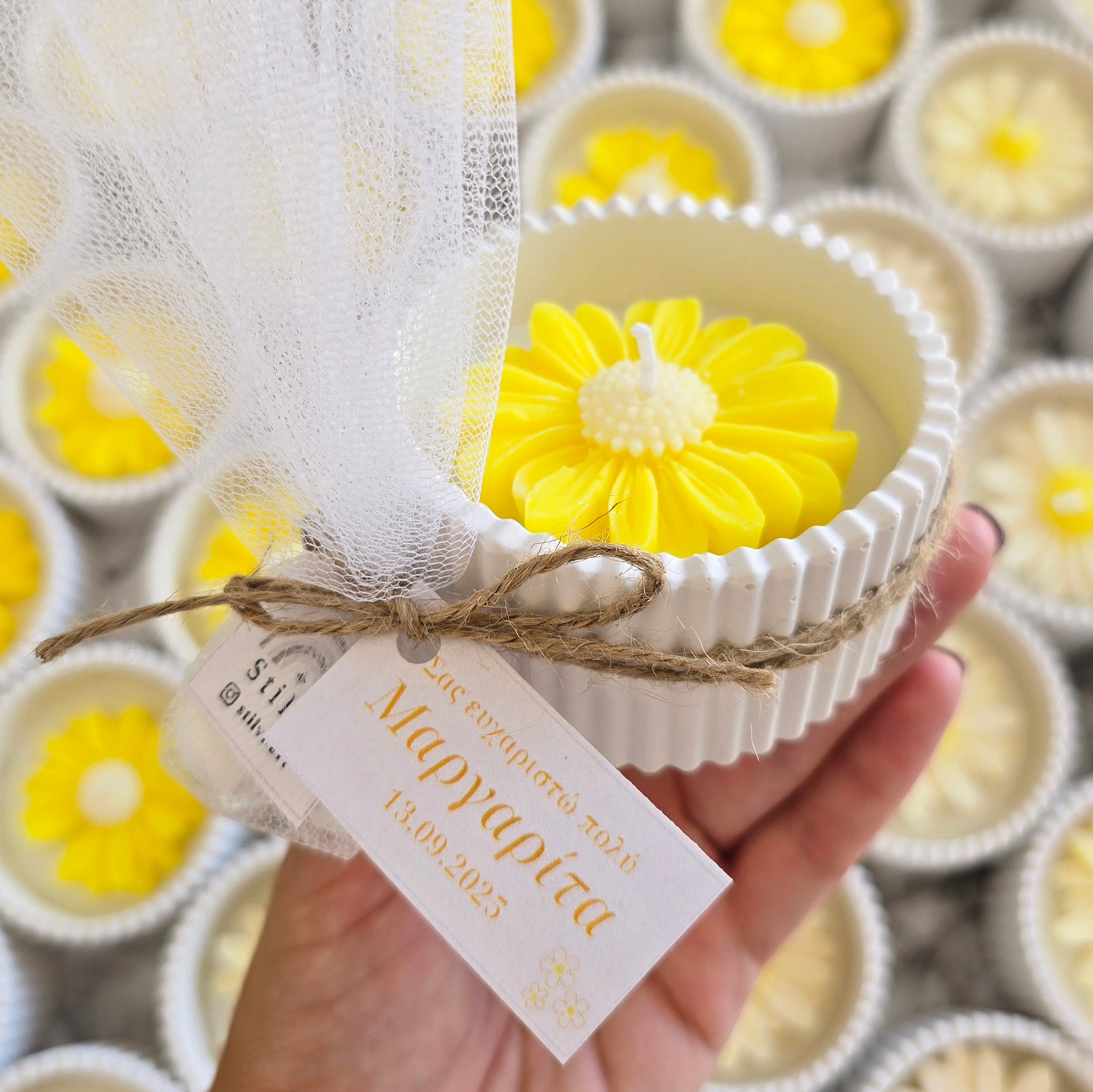 Μπομπονιέρα μαργαρίτα σε δοχείο