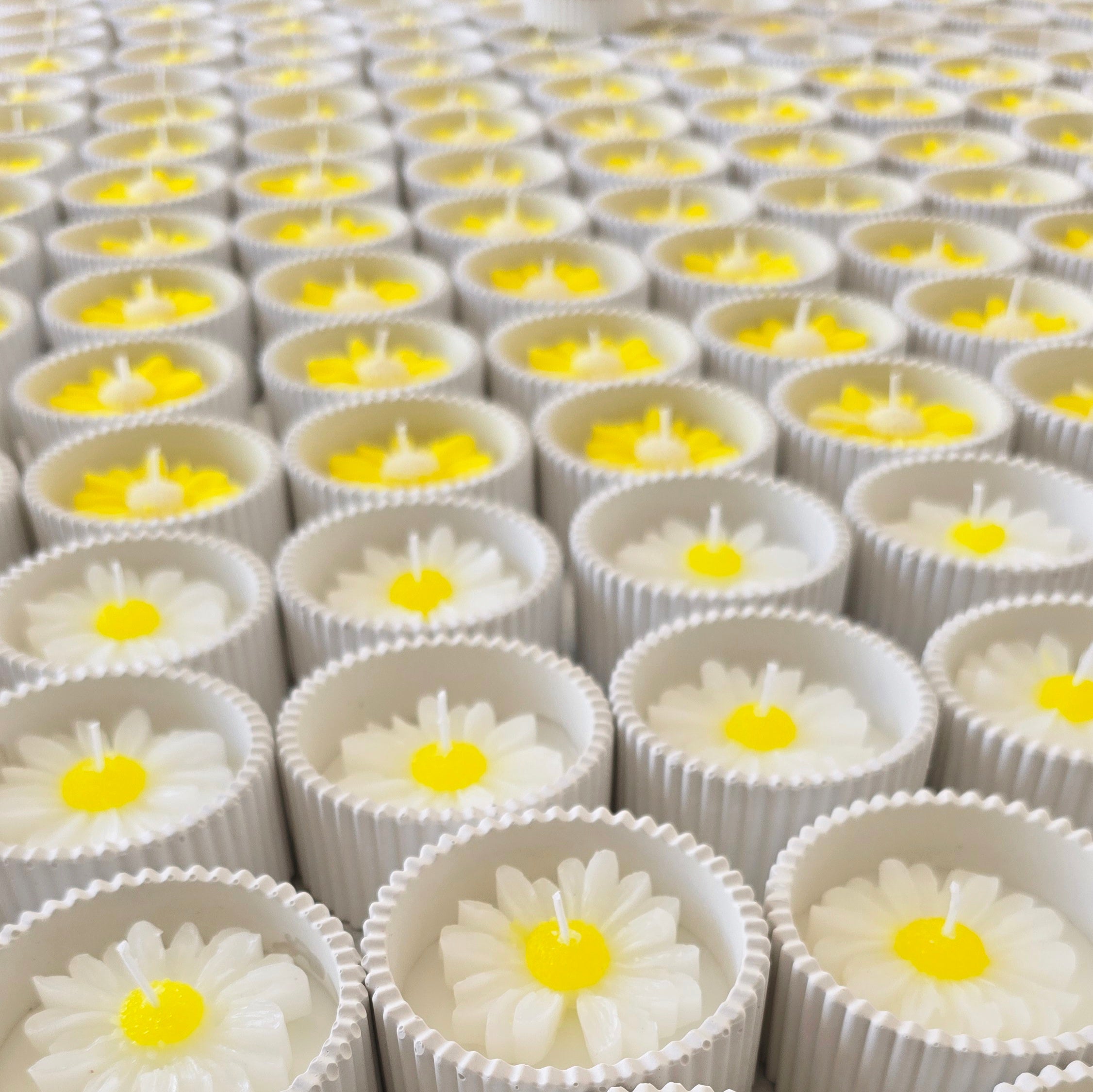 Μπομπονιέρα μαργαρίτα σε δοχείο