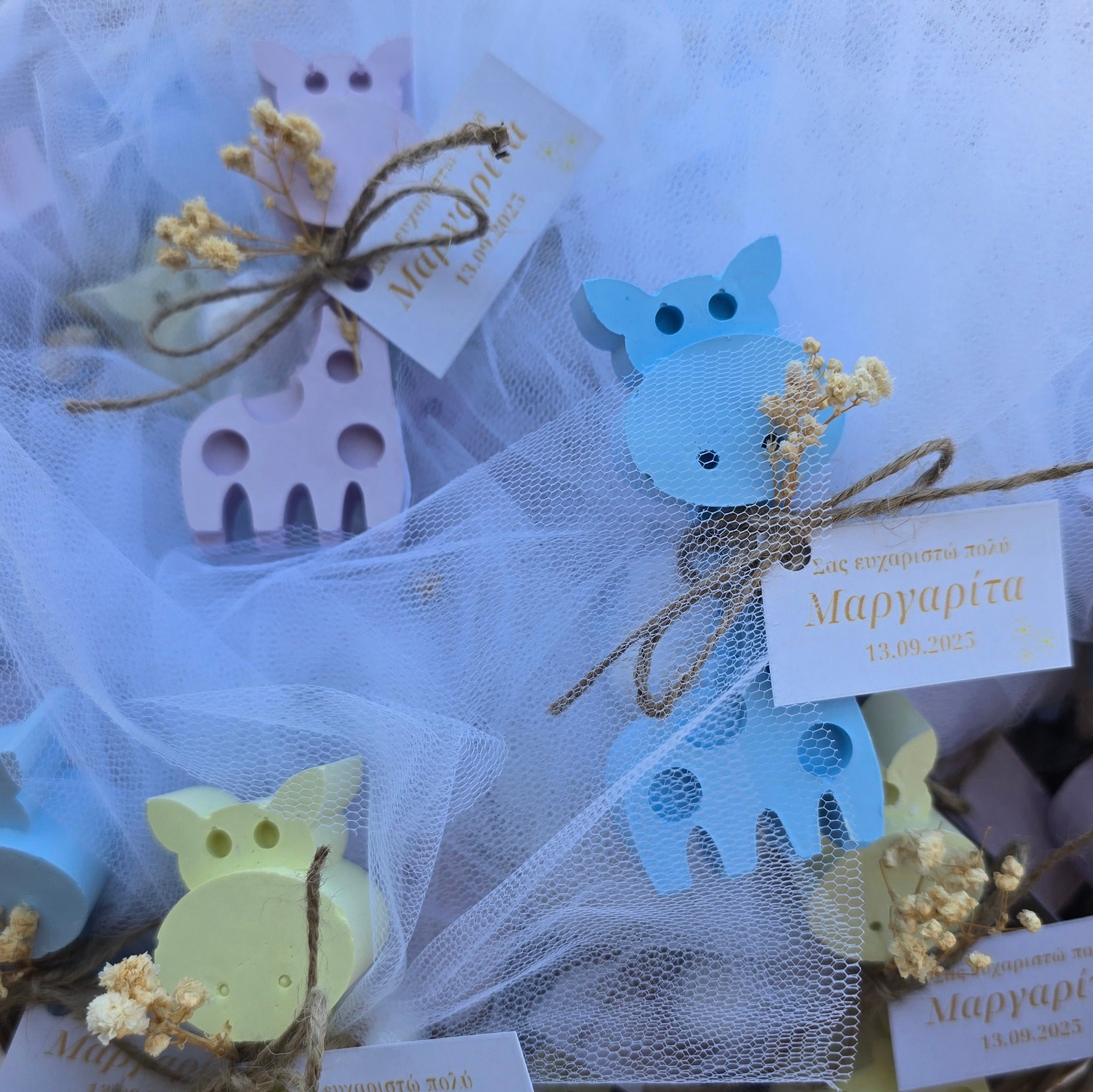 Μπομπονιέρα καμηλοπάρδαλη