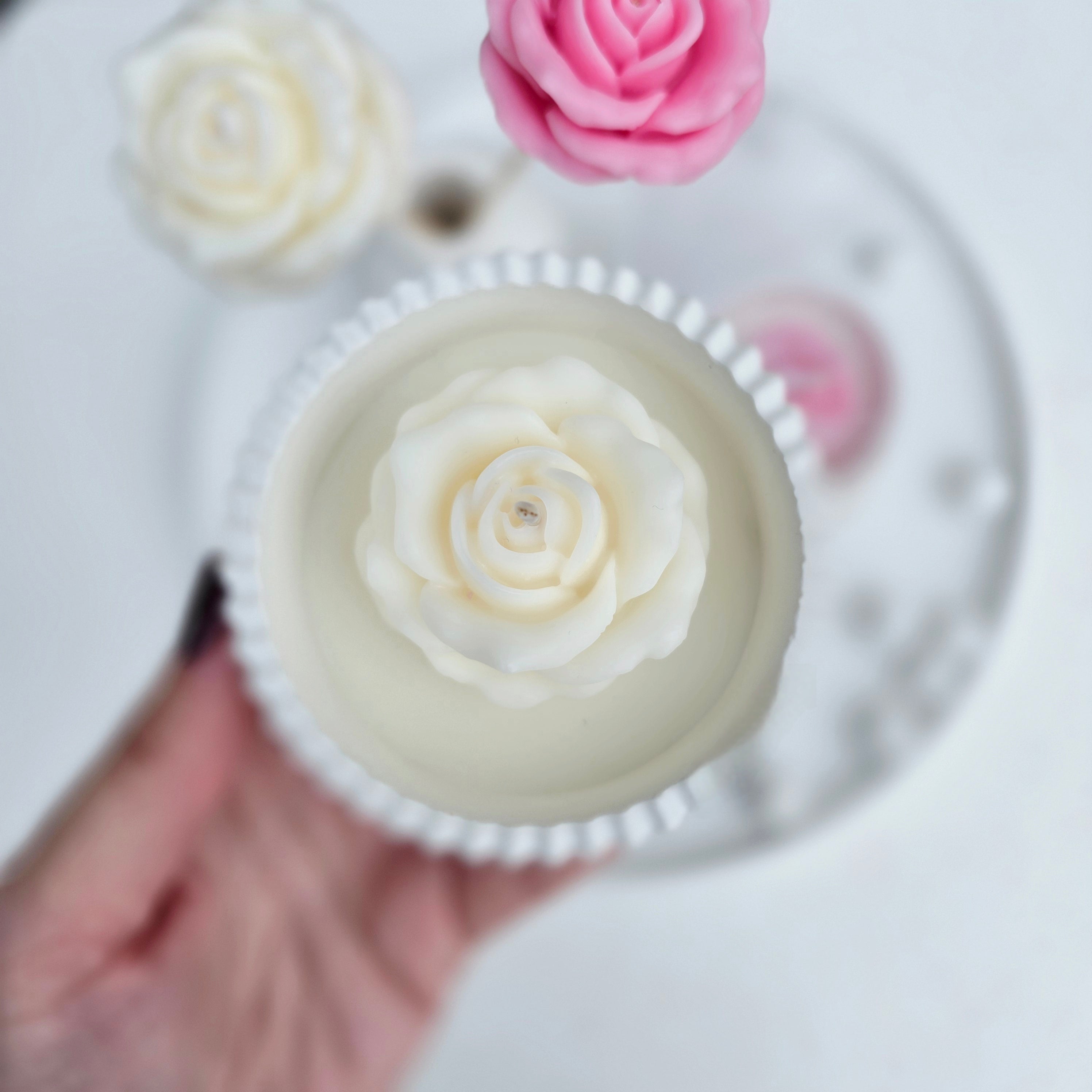 Μπομπονιέρα τριαντάφυλλο σε δοχείο