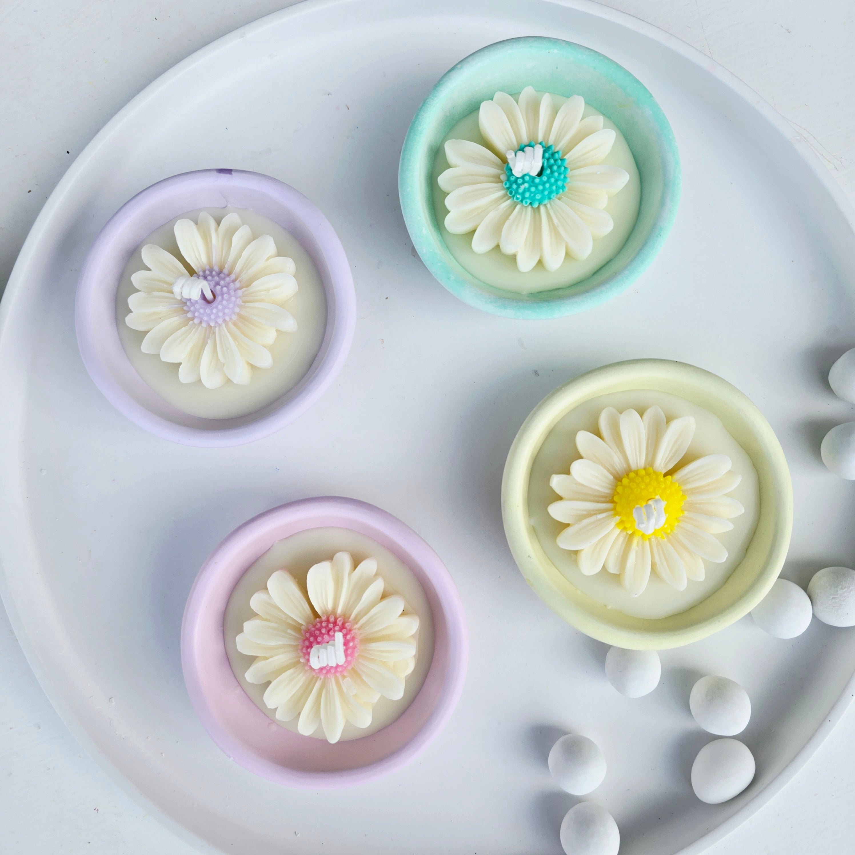 Μπομπονιέρα ανθισμένη μαργαρίτα σε βάση