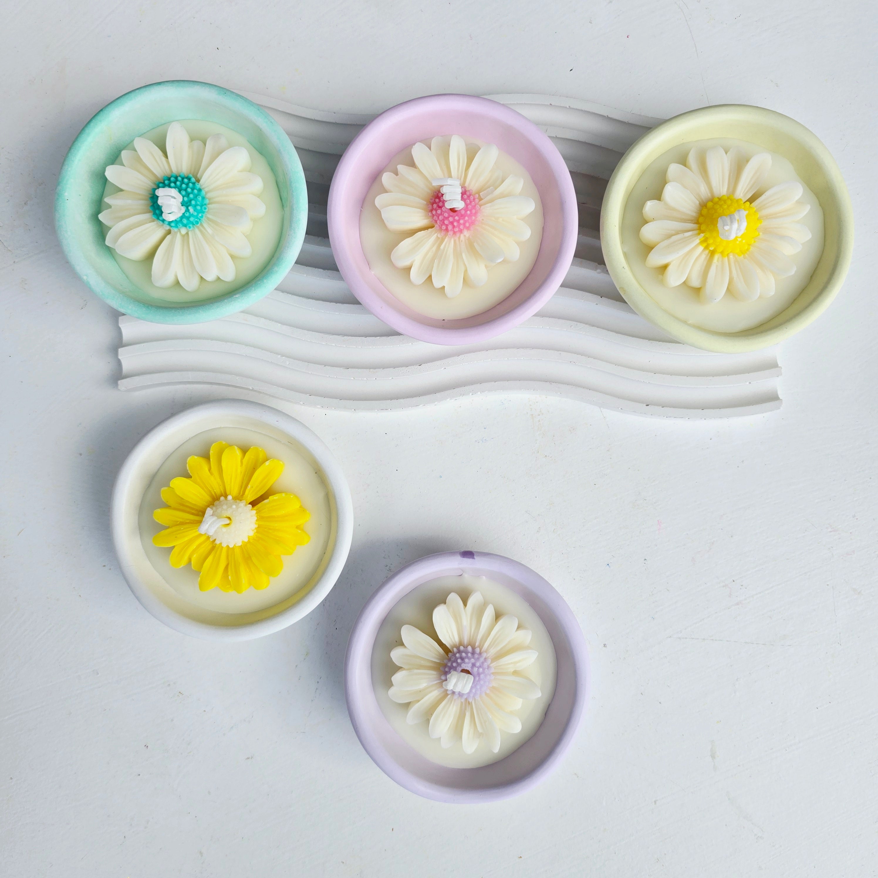 Ανθισμένη μαργαρίτα σε βάση