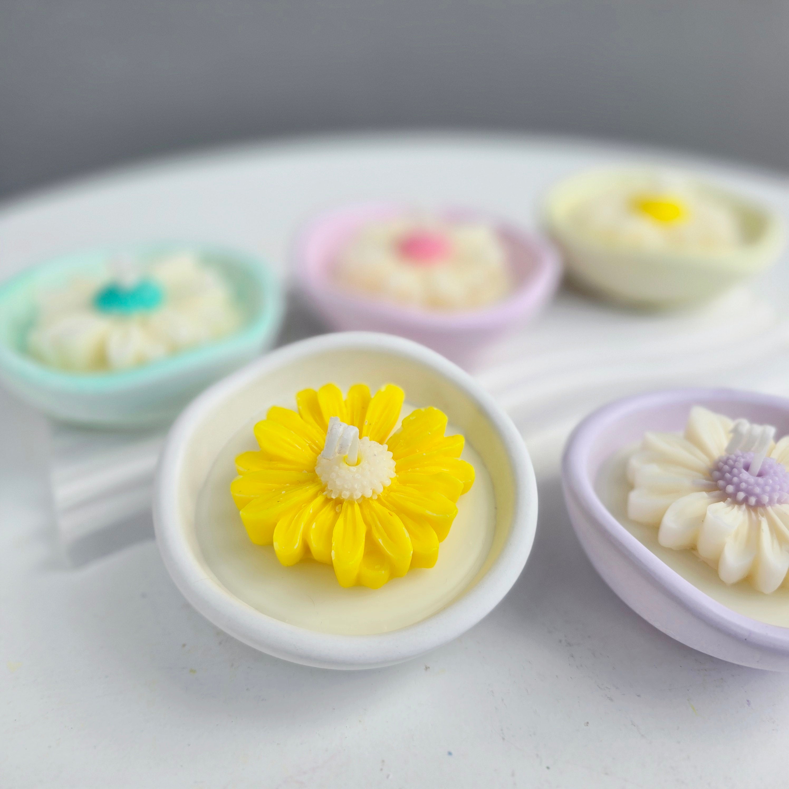 Ανθισμένη μαργαρίτα σε βάση