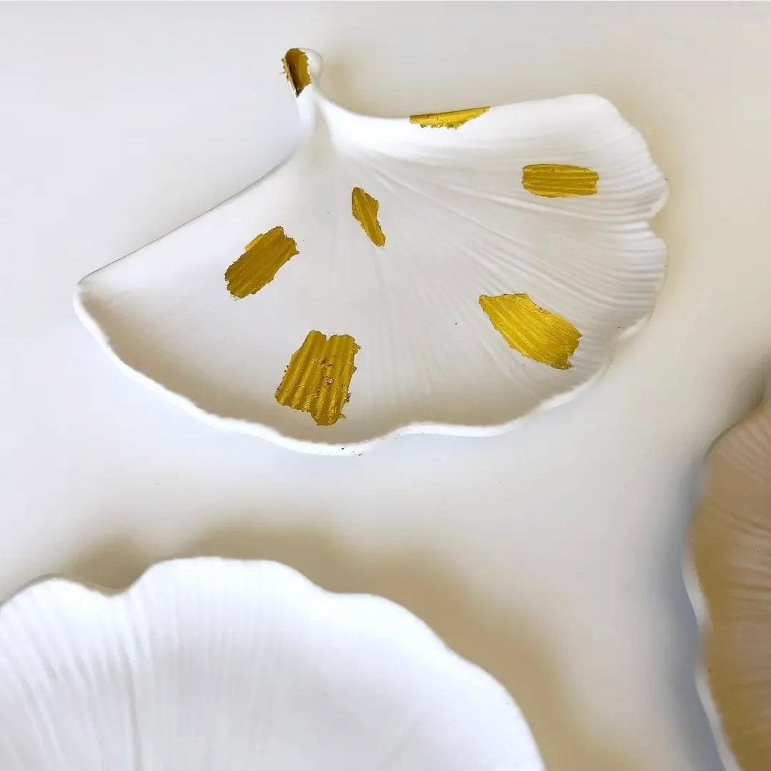 Δίσκος βεντάλια